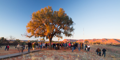 Cultural Connections Program